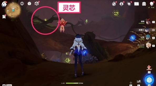 原神蔓生灵芯位置在哪儿-原神36蔓生灵芯位置及解谜方法攻略