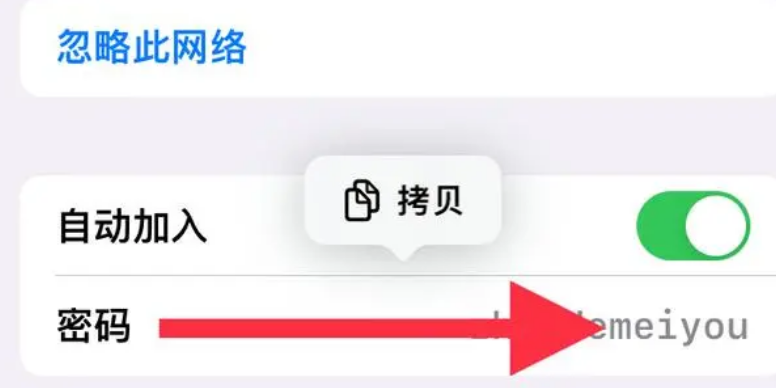 iPhone手机查看WiFi密码教程：简单步骤快速掌握