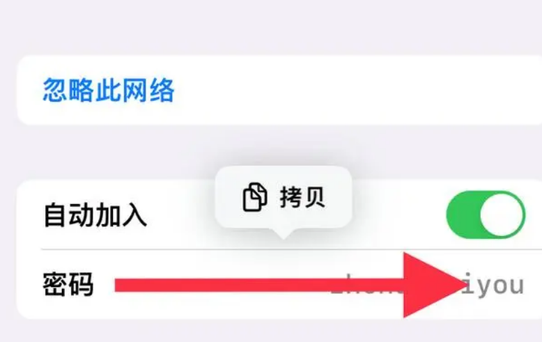 iPhone手机查看WiFi密码教程：简单步骤快速掌握