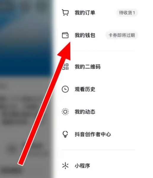 如何注销抖音极速版支付功能-详细步骤与指南