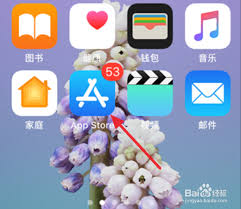 苹果手机怎么下载游戏？用户轻松操作，体验非凡！