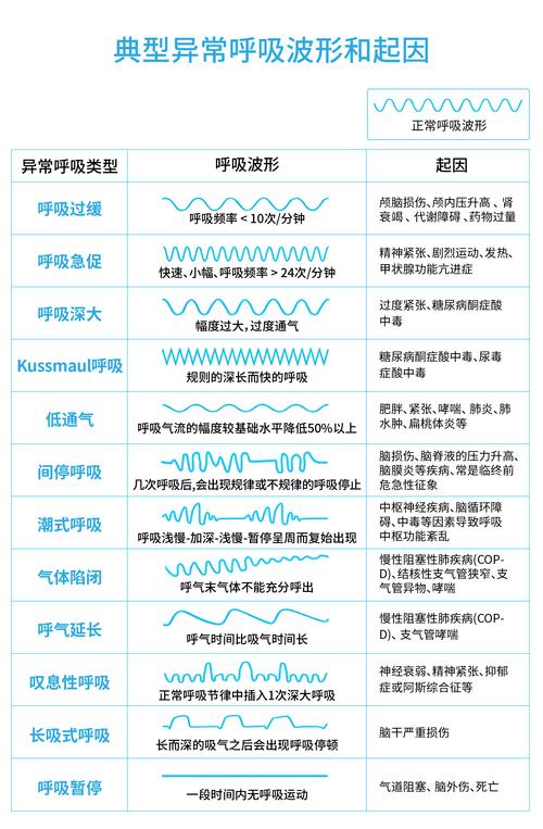 呼吸过度完整解决方案:症状自查与预防权威指南 呼吸过度完整解决方案:症状自查与预防权威指南