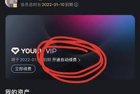苹果手机优酷会员自动续费关闭全攻略：三种有效方法详解与注意事项