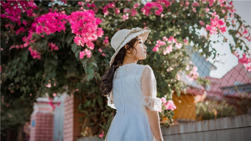 银杏视频yxspyjz