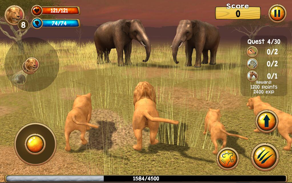 野生狮子模拟器3DWild Lion Sim