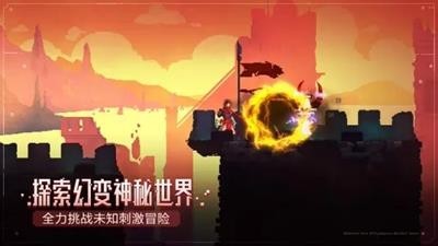 死亡细胞中文
