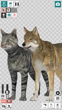 动物的姿势Animal Posing