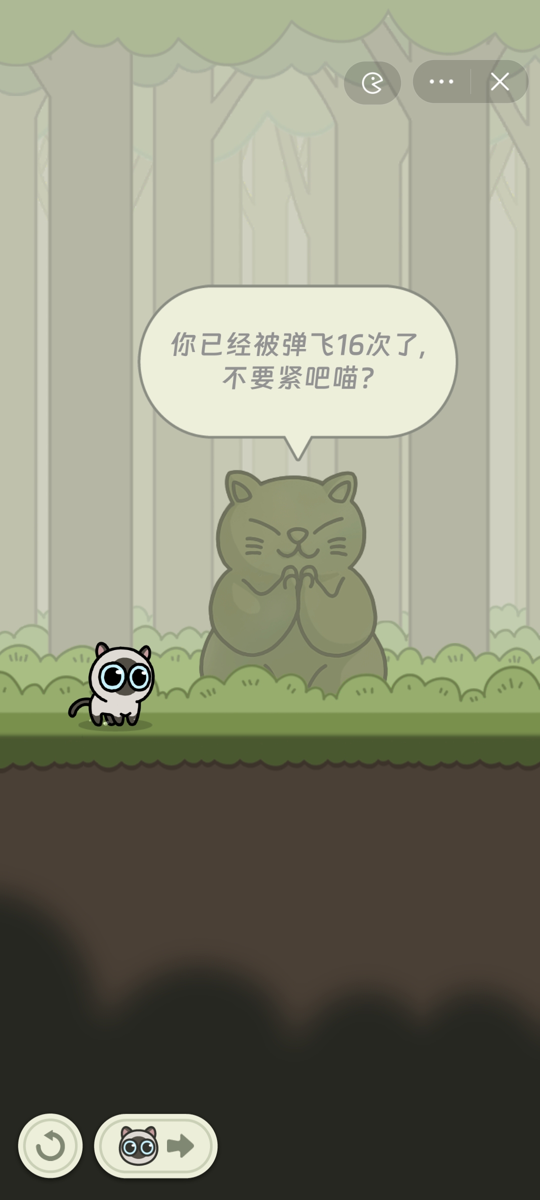 冒险猫小程序