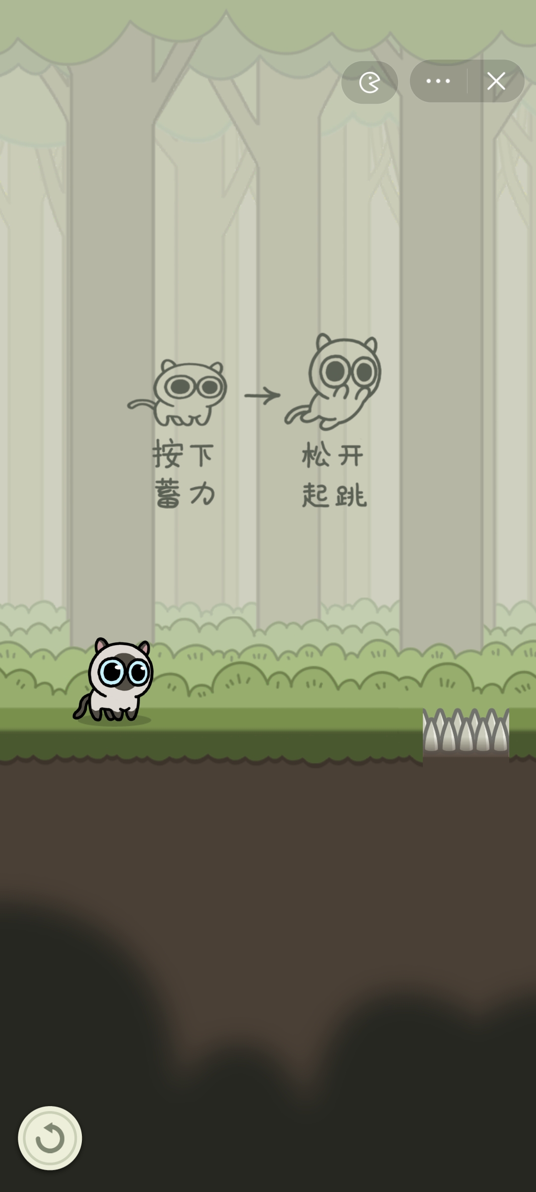 冒险猫小程序