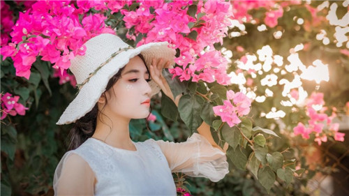 6968.t∨花儿直播间