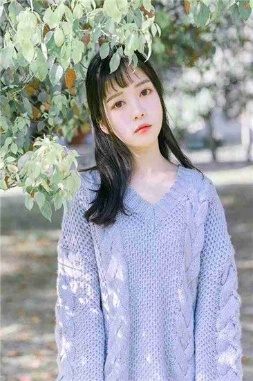 醉拳影视高清版