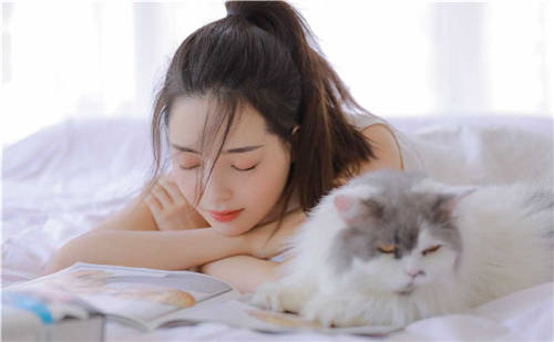芭乐草莓向日葵丝瓜小猪ios解锁版