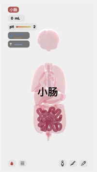 生命人体模拟器安卓版