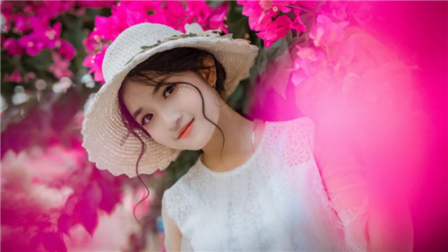 免费下载大菠萝app软件