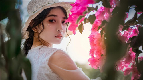 芭乐丝瓜向日葵