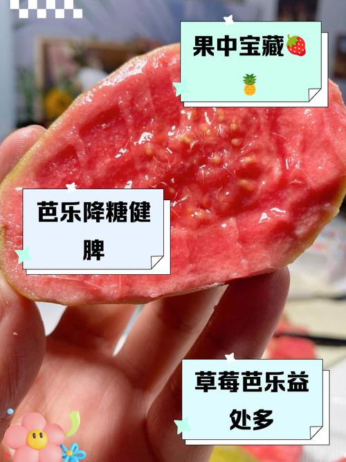 芭乐草莓榴莲免费