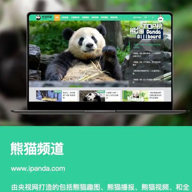 熊猫视频1.0.1安卓版