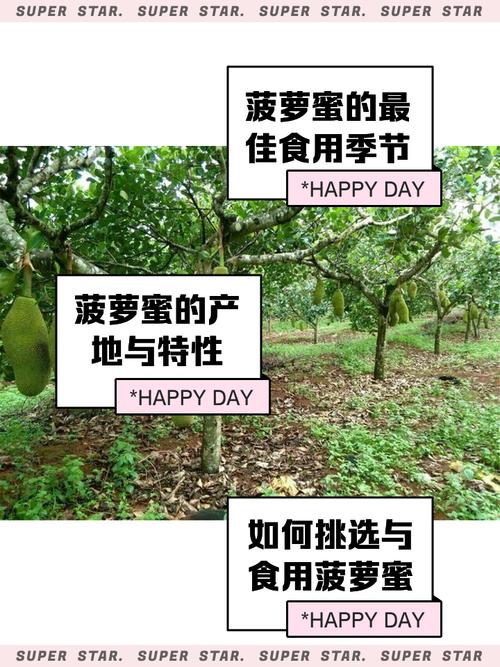 丝瓜樱桃秋葵榴莲菠萝蜜