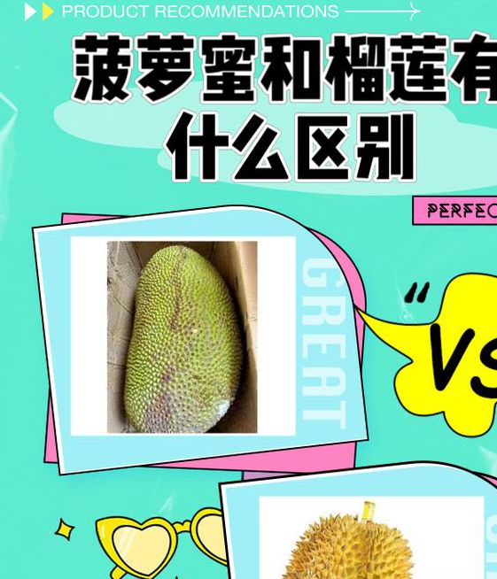 丝瓜樱桃秋葵榴莲菠萝蜜